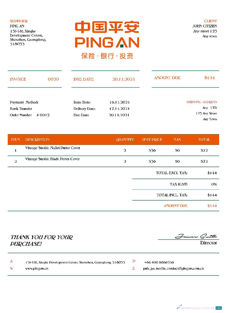 Download USA Ping An invoice Photoshop template